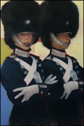 danish guard 51·76 danish guard 51·76